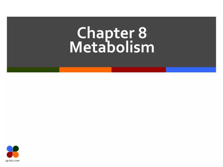 chapter 8 metabolism
