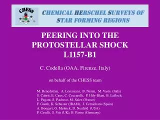 PEERING INTO THE PROTOSTELLAR SHOCK L1157-b1