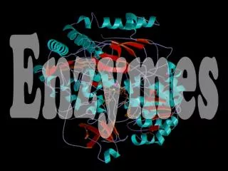 Enzymes