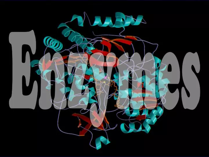 enzymes