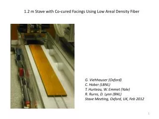 1.2 m Stave with Co-cured Facings Using Low Areal Density Fiber