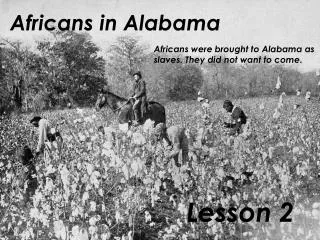 Africans in Alabama