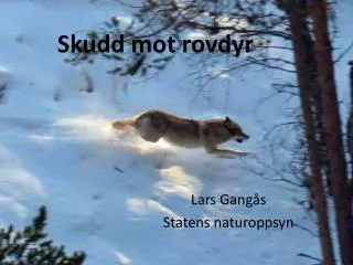 skudd mot rovdyr