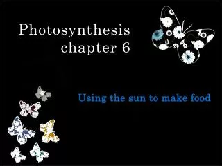 Photosynthesis chapter 6