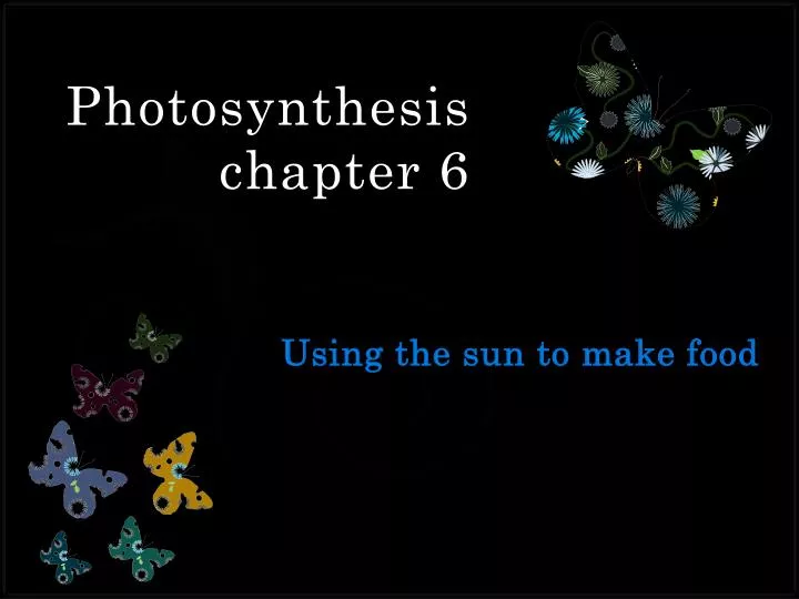 photosynthesis chapter 6