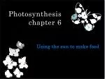 Utilizing Sunlight for Photosynthesis: Chapter 6 - Making Food - slide 1