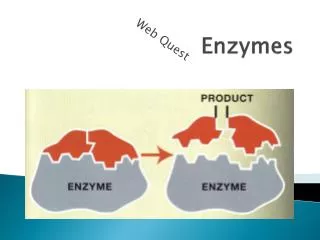 Enzymes