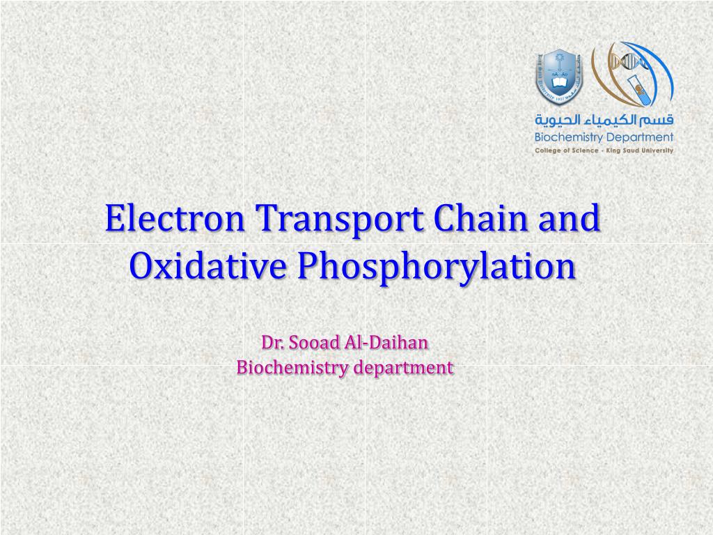 PPT - Electron Transport Chain and Oxidative Phosphorylation PowerPoint ...