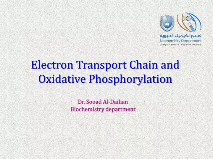 electron transport chain and oxidative phosphorylation