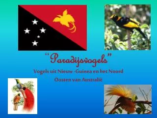 paradijsvogels