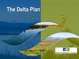 The Delta Plan