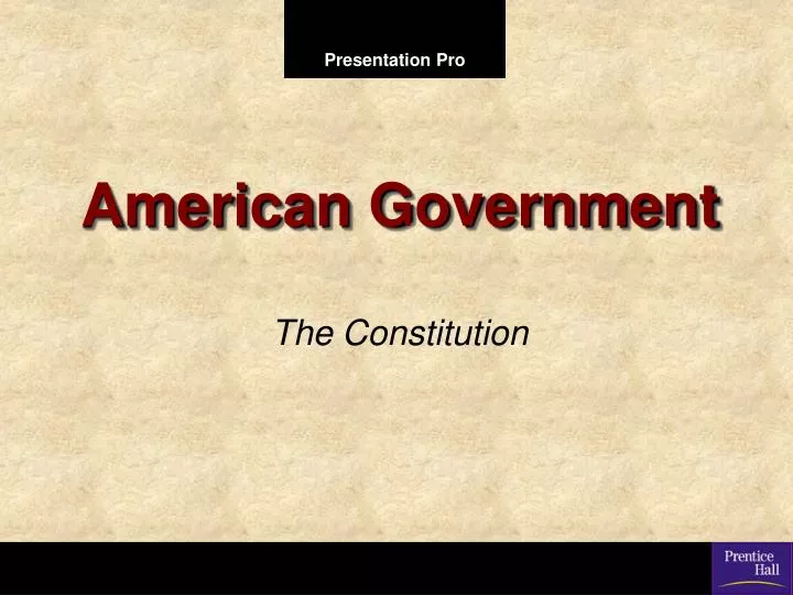 american government