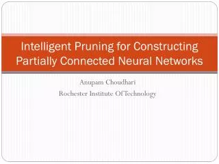 Intelligent Pruning for Constructing Partially Connected Neural Networks