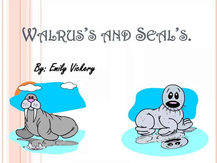 walrus s and seal s