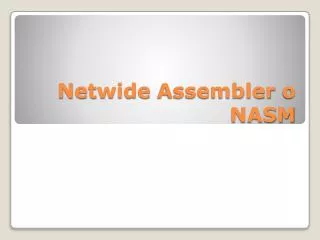netwide assembler o nasm