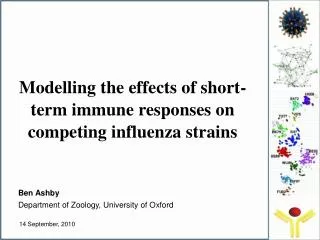 Modelling the effects of short-term immune responses on competing influenza strains
