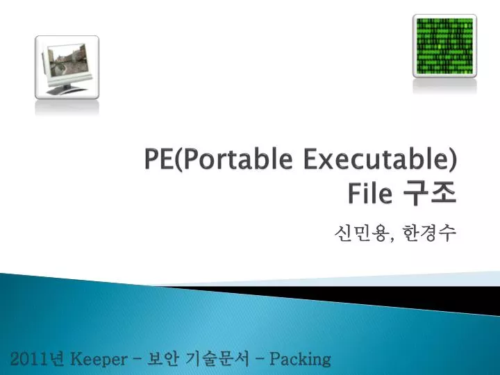 pe portable executable file