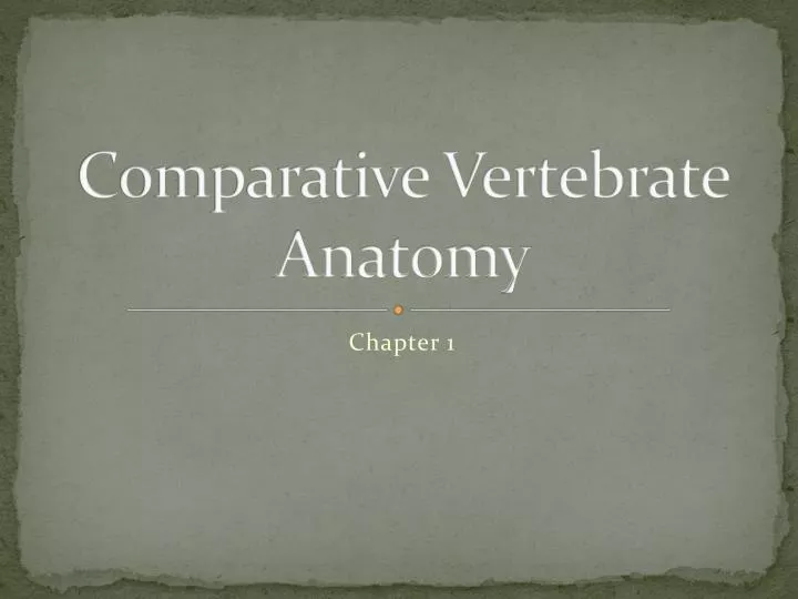 comparative vertebrate anatomy