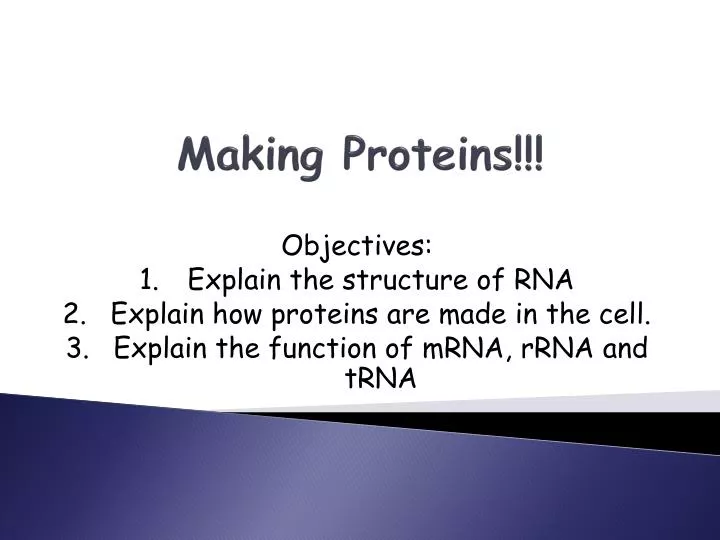 making proteins