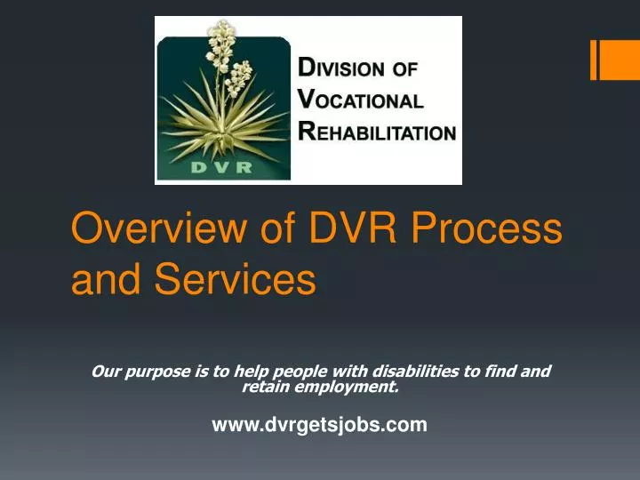 overview of dvr process and services
