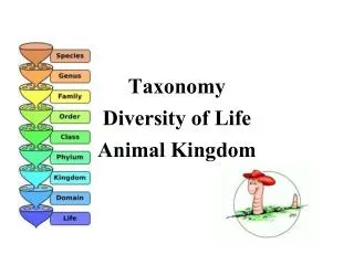 Taxonomy Diversity of Life Animal Kingdom