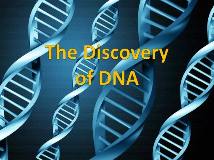 the discovery of dna