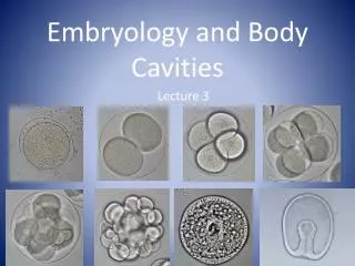 Embryology and Body Cavities