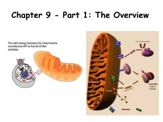 Chapter 9 - Part 1: The Overview