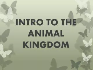 INTRO TO THE ANIMAL KINGDOM