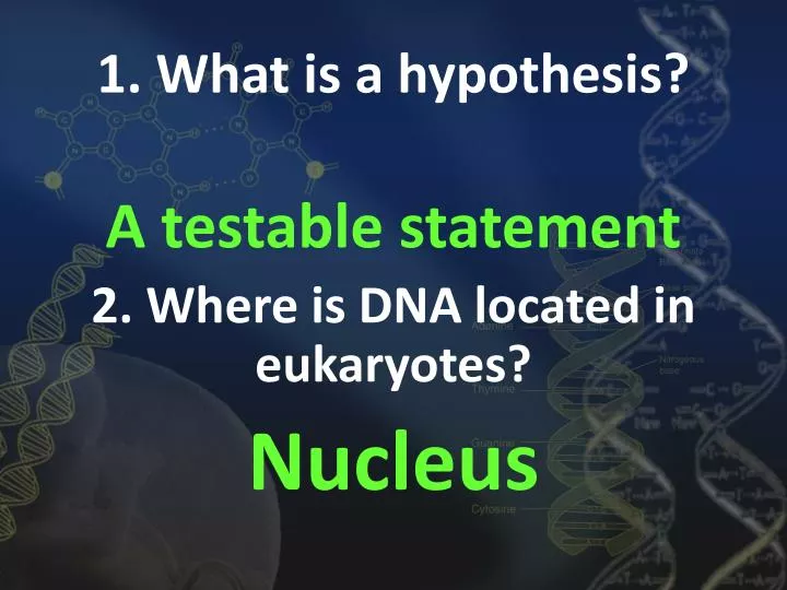 1 what is a hypothesis