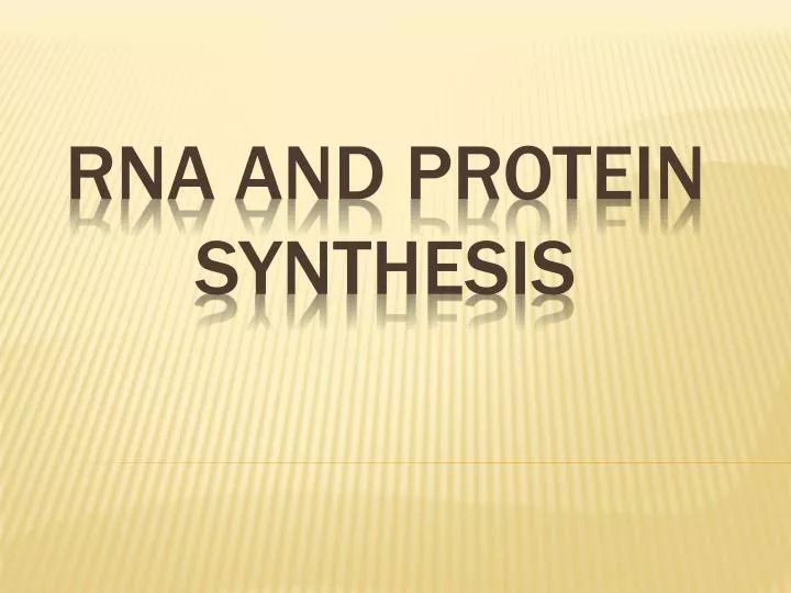 rna and protein synthesis