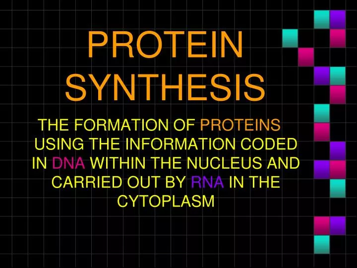 protein synthesis