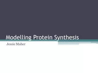 Modelling Protein Synthesis
