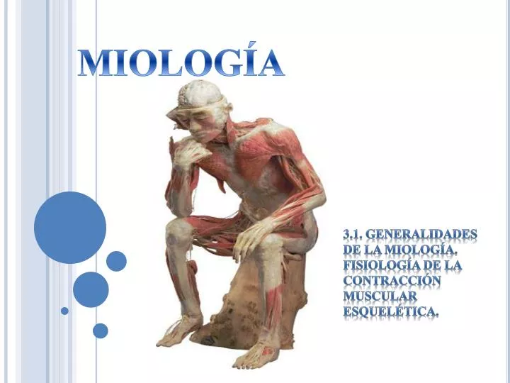 3 1 generalidades de la miolog a fisiolog a de la contracci n muscular esquel tica