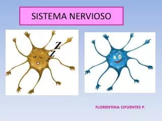 sistema nervioso