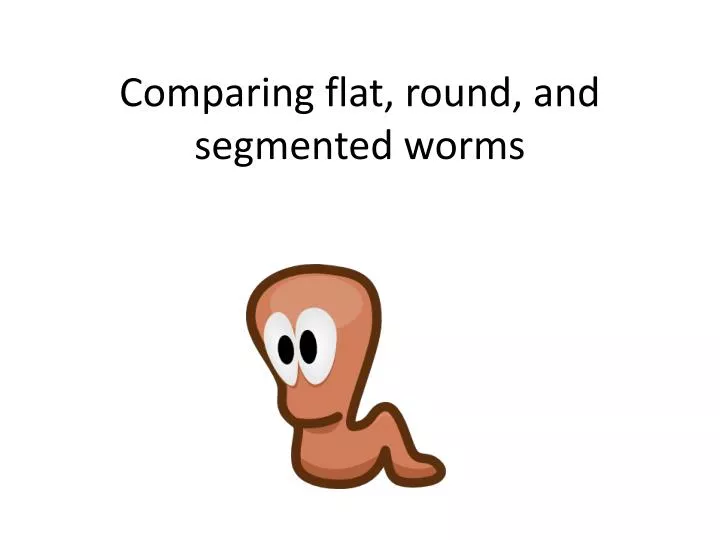 comparing flat round and segmented worms