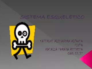 sistema esqueletico