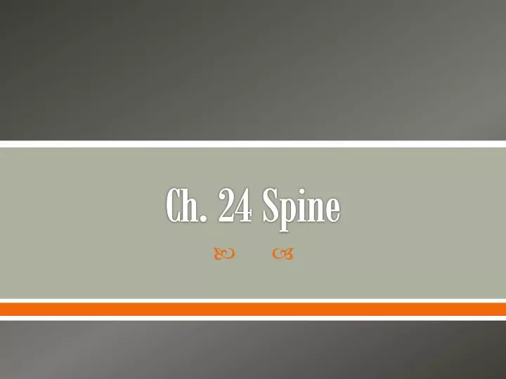 ch 24 spine