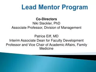 Lead Mentor Program