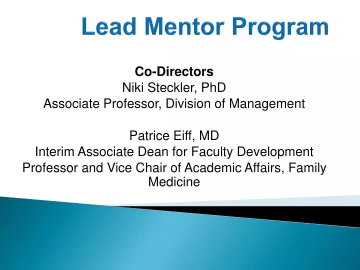 lead mentor program