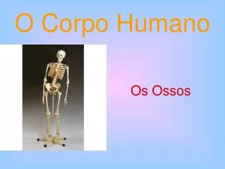 o corpo humano