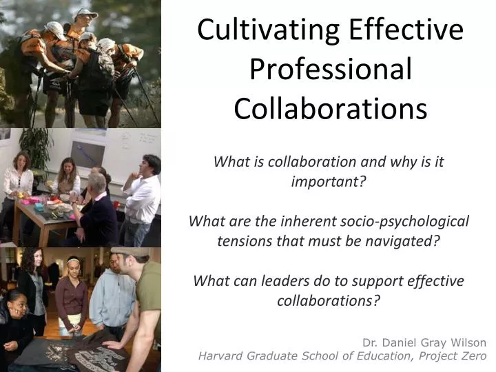 cultivating effective professional collaborations