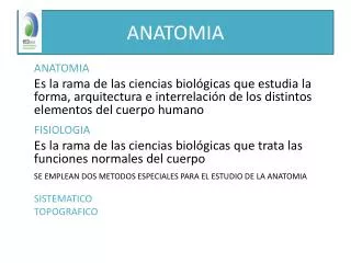 anatomia