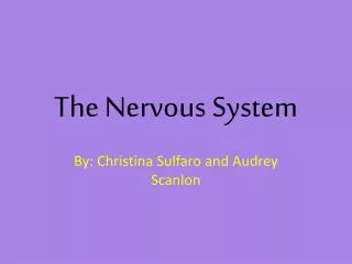 The Nervous System