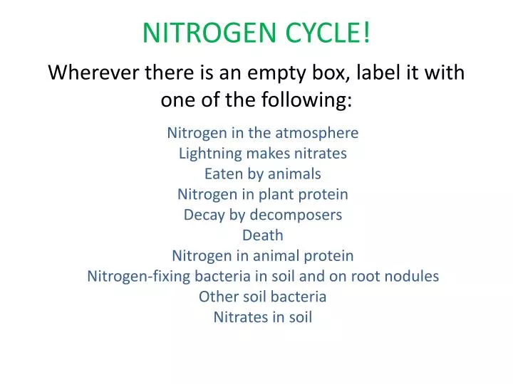 nitrogen cycle