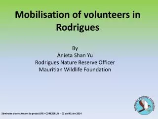 Mobilisation of volunteers in Rodrigues