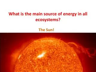 What is the main source of energy in all ecosystems?