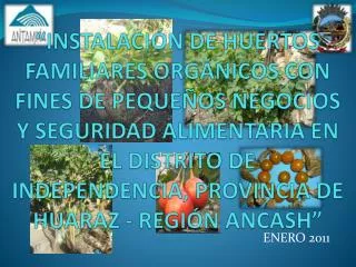 enero 2011