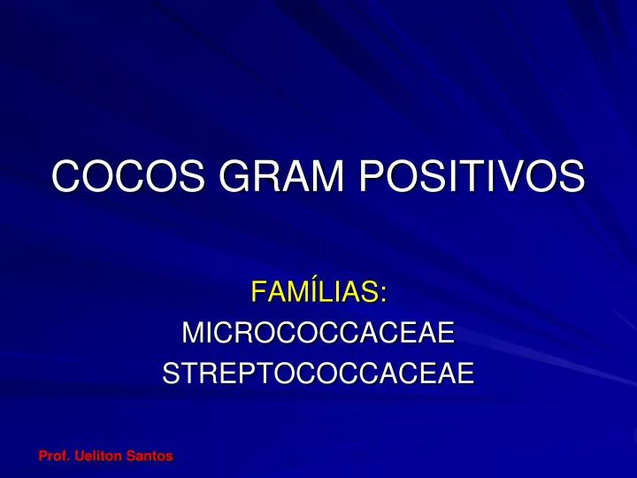 cocos gram positivos