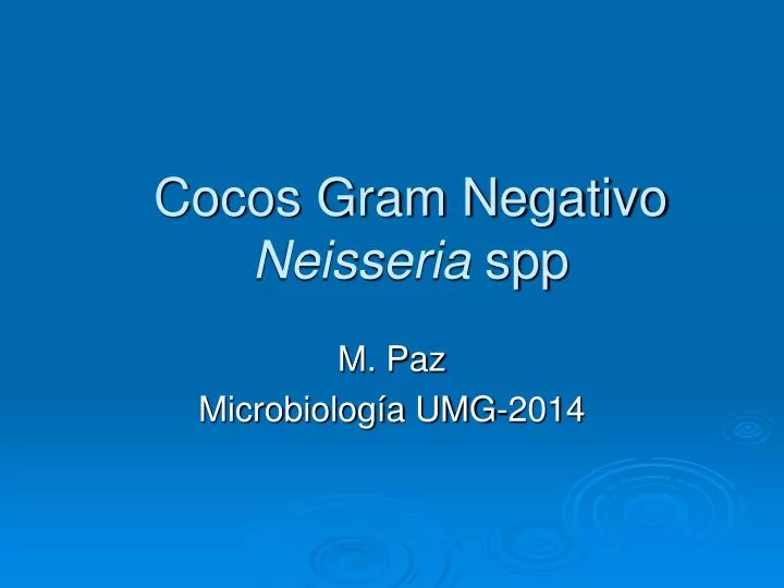 cocos gram negativo neisseria spp